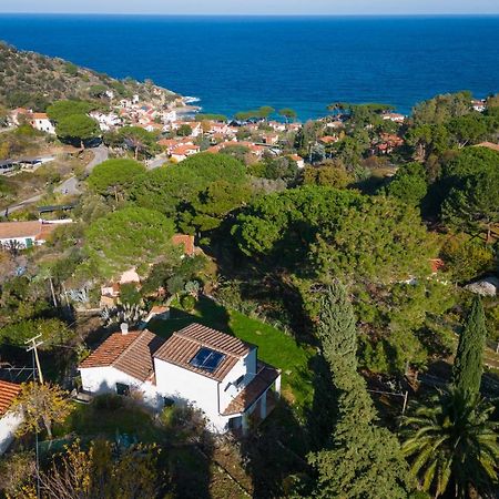Villa Caterina Quiete E Mare-Goelba SantʼAndrea Exteriér fotografie