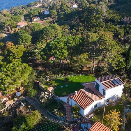 Villa Caterina Quiete E Mare-Goelba SantʼAndrea Exteriér fotografie