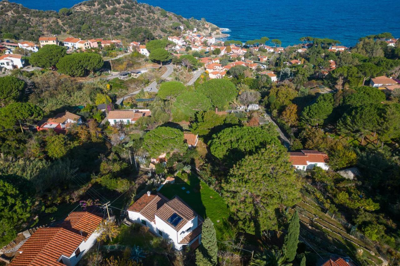 Villa Caterina Quiete E Mare-Goelba SantʼAndrea Exteriér fotografie