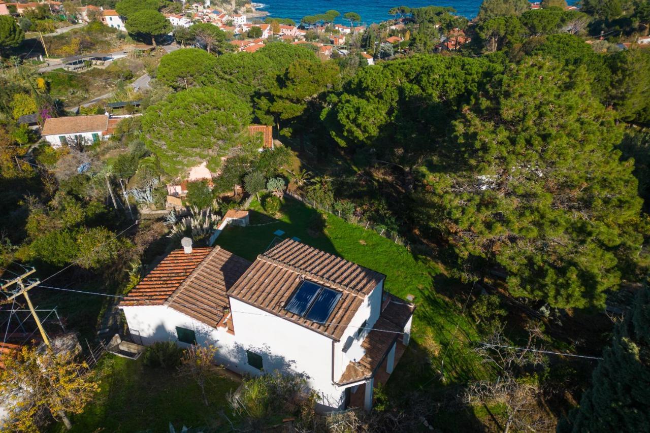 Villa Caterina Quiete E Mare-Goelba SantʼAndrea Exteriér fotografie