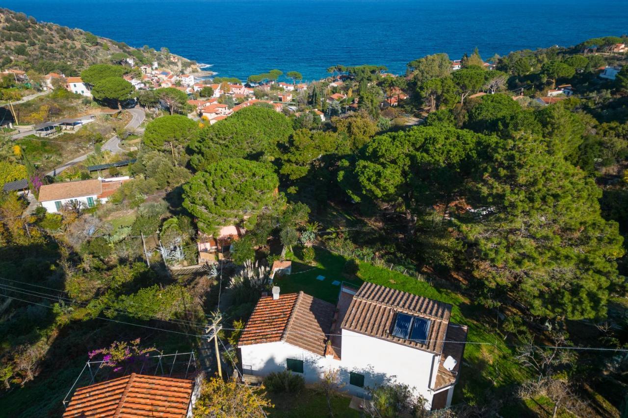 Villa Caterina Quiete E Mare-Goelba SantʼAndrea Exteriér fotografie